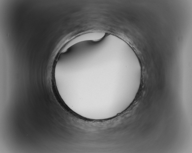 X0000096140007200802151343