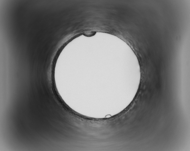 X0000096140008200802151343