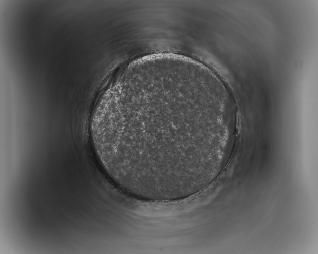 X0000096140009200802151343