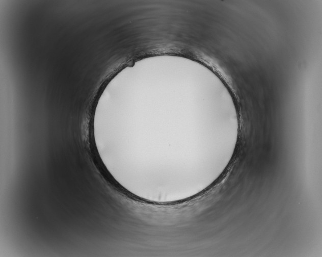 X0000096140010200802151343