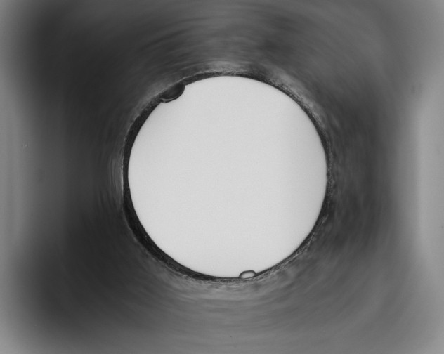 X0000096140011200802151343