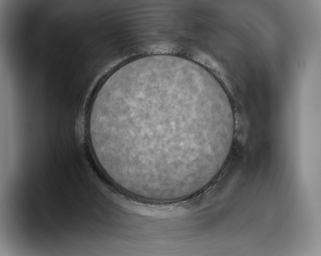 X0000096140012200802151343