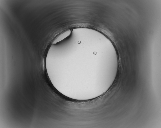 X0000096140013200802151343