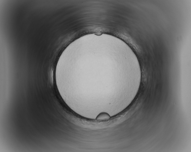 X0000096140014200802151343