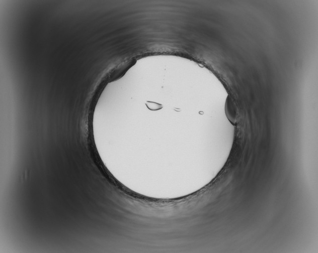 X0000096140015200802151343