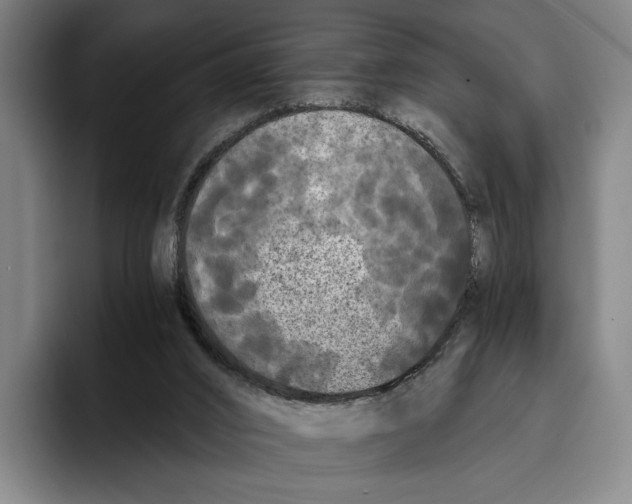 X0000096140016200802151343