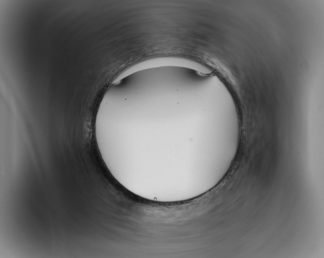 X0000096140017200802151343