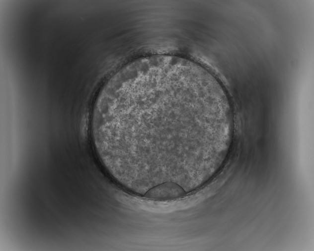 X0000096140018200802151343