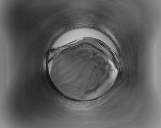 X0000096140019200802151343