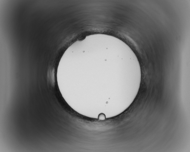 X0000096140020200802151343
