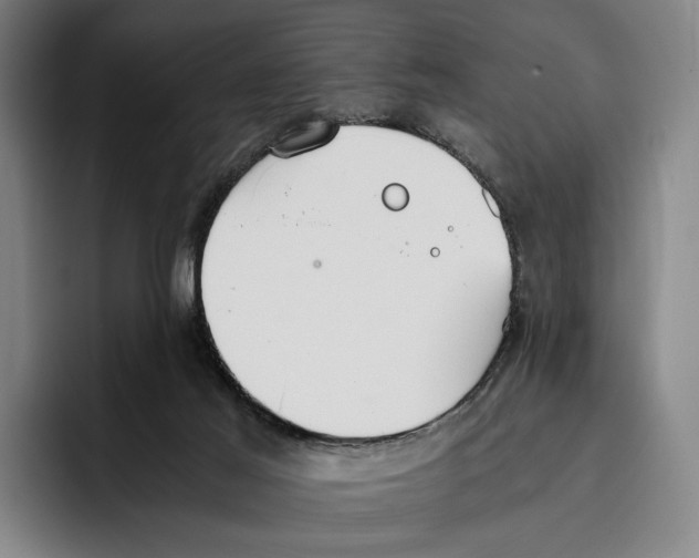 X0000096140021200802151343
