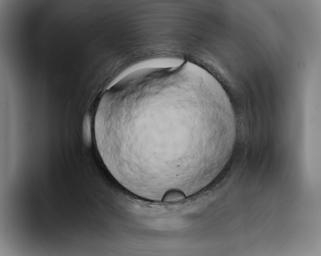 X0000096140022200802151343