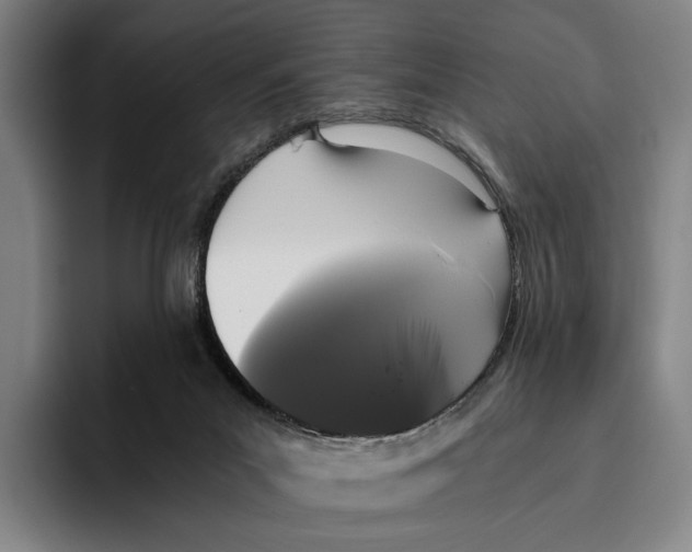 X0000096140023200802151343