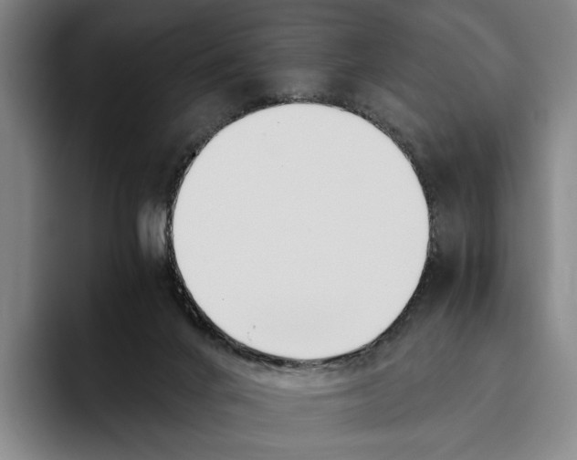 X0000096140024200802151343