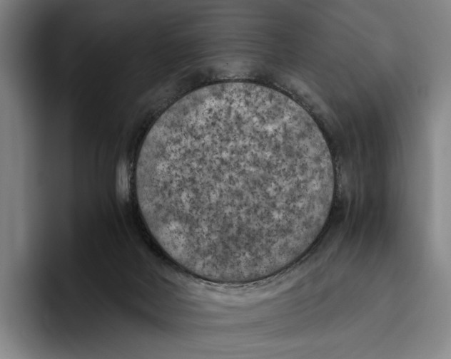 X0000096140026200802151343