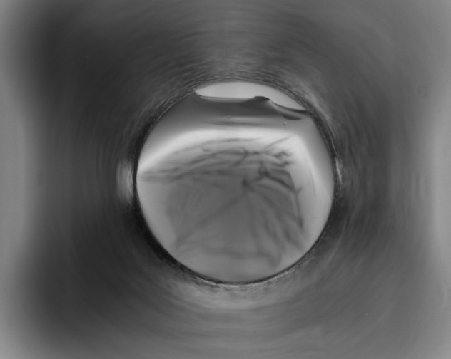X0000096140027200802151343