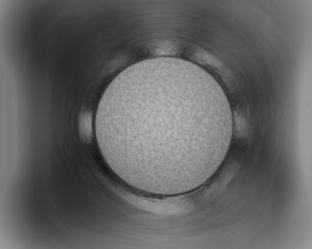 X0000096140028200802151343