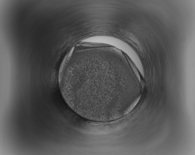 X0000096140029200802151343