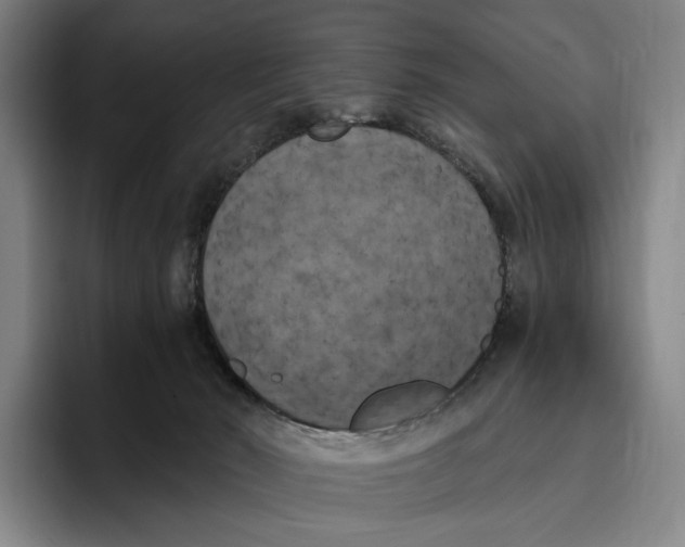 X0000096140030200802151343