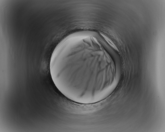 X0000096140031200802151343
