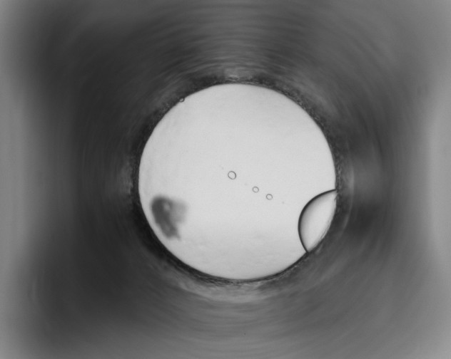 X0000096140032200802151343