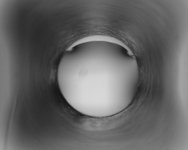 X0000096140033200802151343