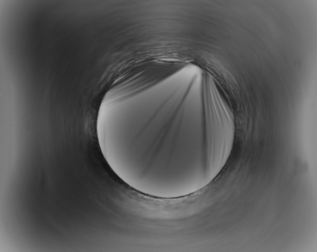 X0000096140035200802151343
