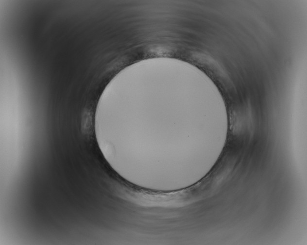 X0000096140036200802151343
