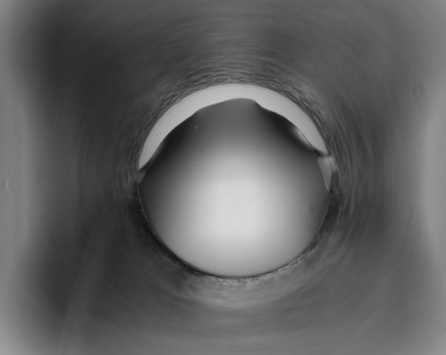X0000096140037200802151343