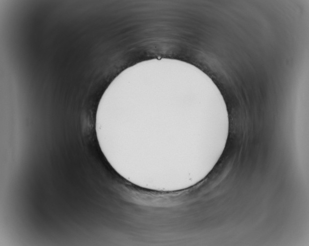 X0000096140040200802151343