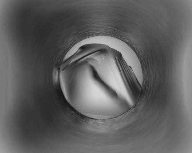 X0000096140041200802151343