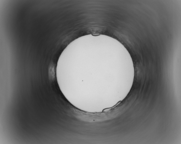 X0000096140042200802151343