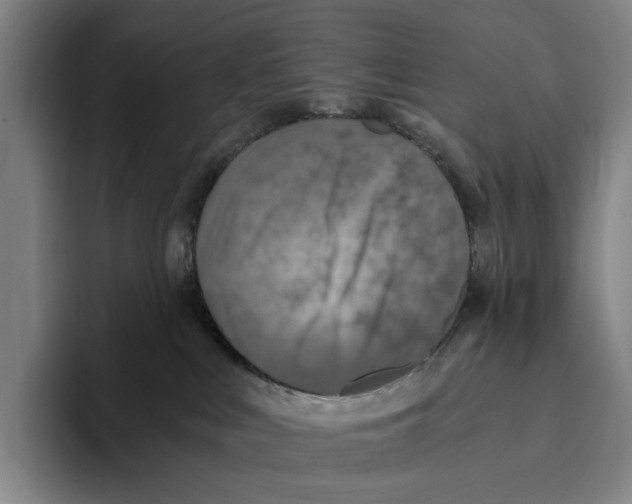 X0000096140043200802151343