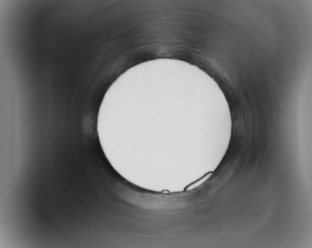 X0000096140044200802151343