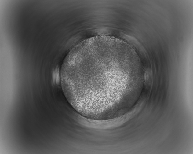 X0000096140046200802151343