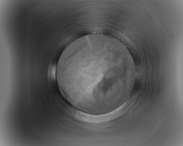 X0000096140047200802151343