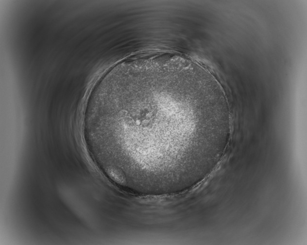 X0000096140049200802151342
