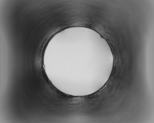X0000096140050200802151342