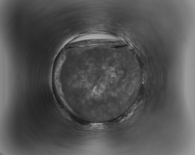 X0000096140052200802151342