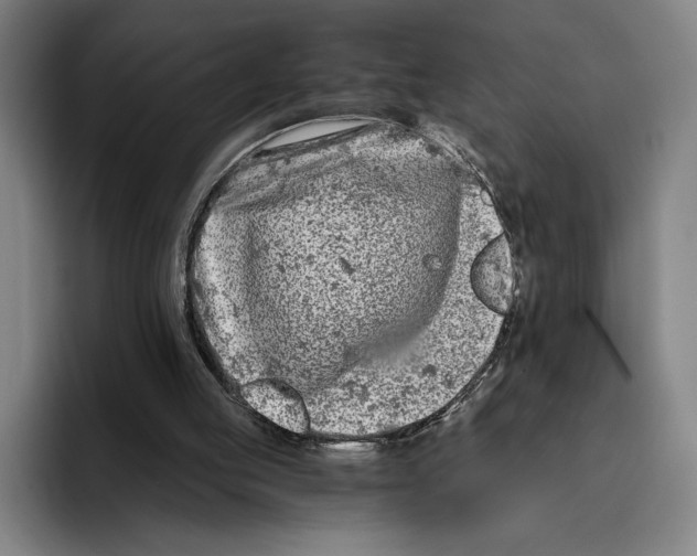 X0000096140053200802151342
