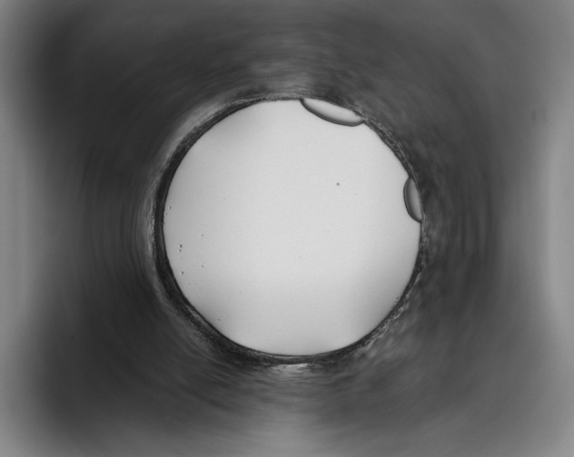 X0000096140054200802151342