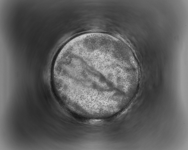 X0000096140055200802151342