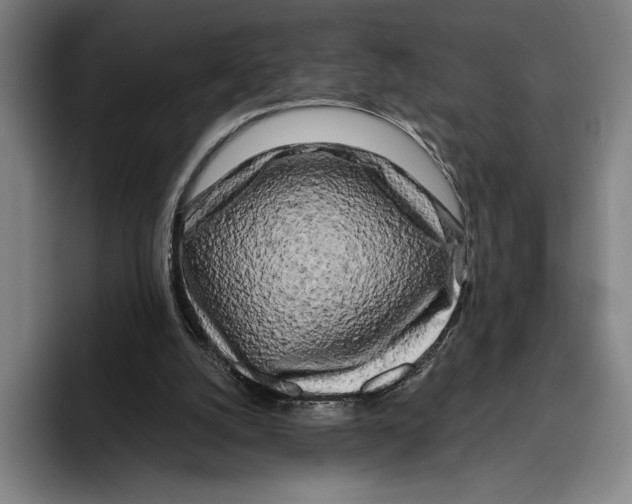 X0000096140056200802151342