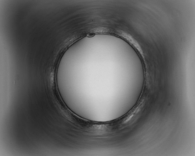 X0000096140057200802151342