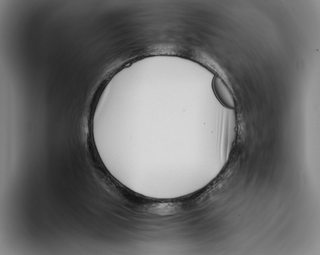 X0000096140059200802151342
