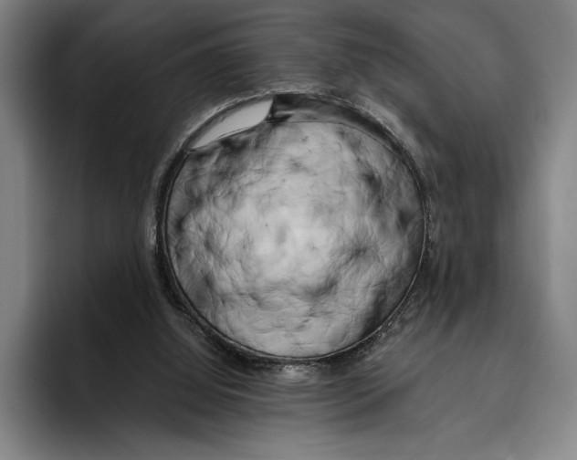 X0000096140060200802151342