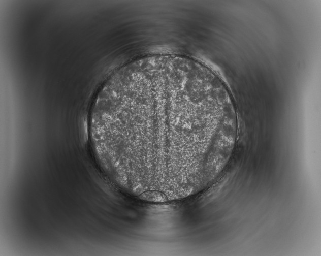 X0000096140061200802151342