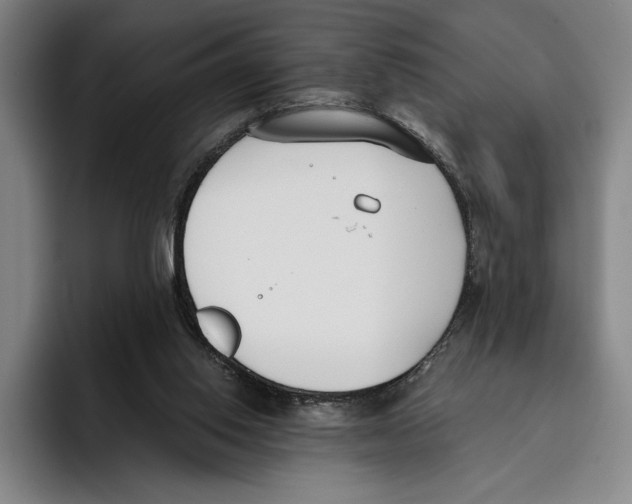 X0000096140062200802151342