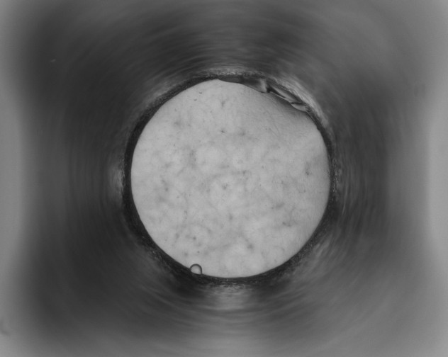 X0000096140063200802151342