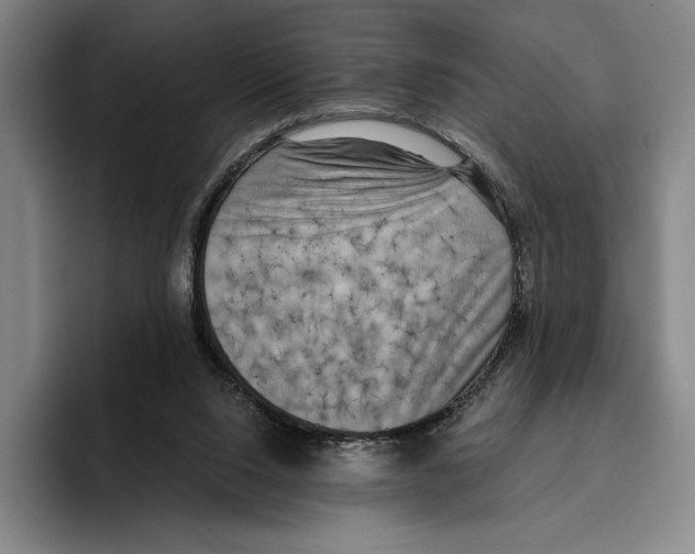 X0000096140064200802151342